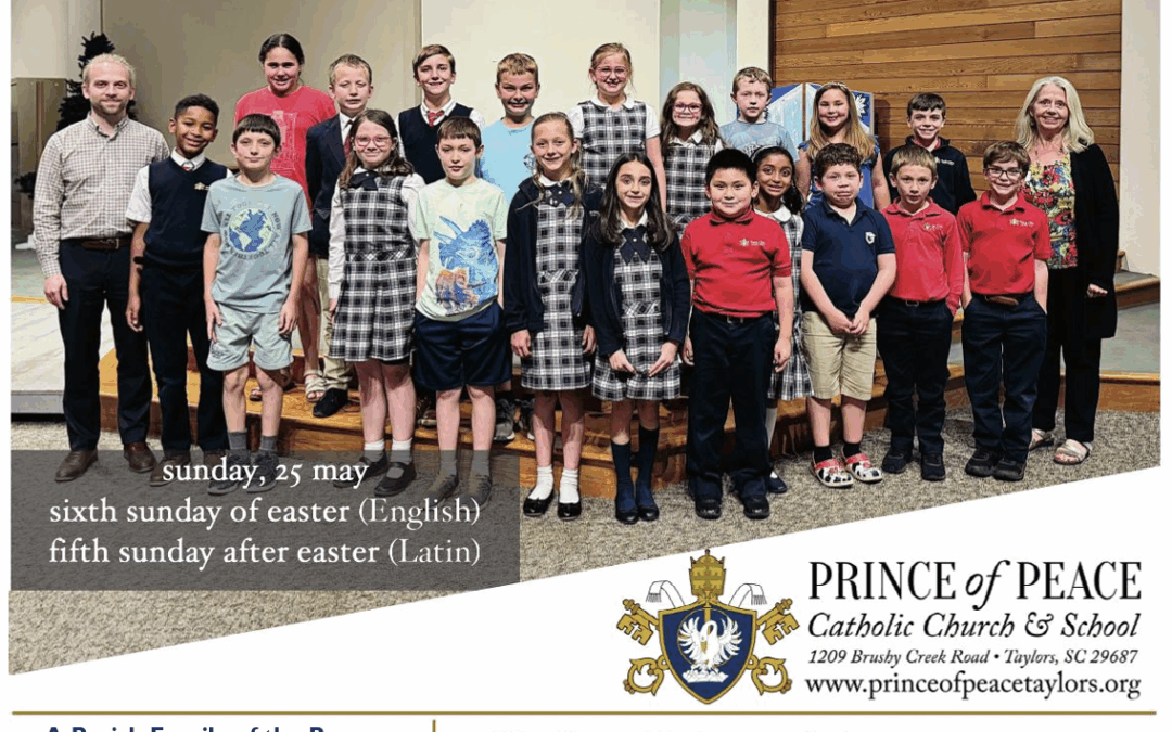 25 May 2025 Bulletin